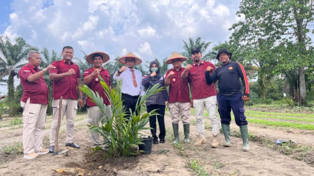 MANFAATKAN LAHAN KOSONG : LAPAS BANGKINANG LATIH WARGA BINAAN BUDIDAYA KELAPA SAWIT