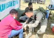 Partisipasi Tim Kesehatan Satgas Ops Damai Cartenz Gelar Pelayanan Kesehatan di Festival Budaya Lembah Baliem