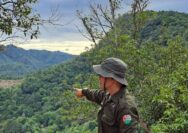 Kadis Parpora Sijunjung Afrineldi, S.H. Turun Survei Lansung Pendakian Bukit Kupitan Kadis Parpora Sijunjung Afrineldi, S.H. Turun Survei Lansung Pendakian Bukit Kupitan