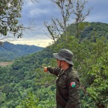 Kadis Parpora Sijunjung Afrineldi, S.H. Turun Survei Lansung Pendakian Bukit Kupitan
