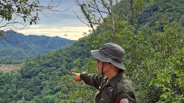 Kadis Parpora Sijunjung Afrineldi, S.H. Turun Survei Lansung Pendakian Bukit Kupitan
