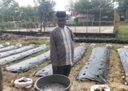 Kepala Sekolah SMAN Olahraga SKO Provinsi Riau ASLIM, S.Pd., M.M. Ikut Program Gurbernur, Penanaman Bibit 9 Tanaman Pertahun Kepala Sekolah SMAN Olahraga SKO Provinsi Riau ASLIM, S.Pd., M.M. Ikut Program Gurbernur, Penanaman Bibit 9 Tanaman Pertahun