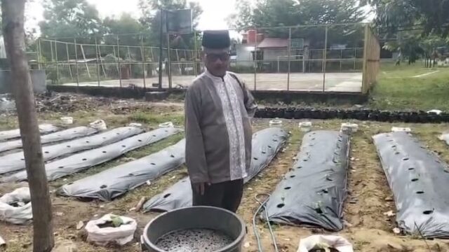 Kepala Sekolah SMAN Olahraga SKO Provinsi Riau ASLIM, S.Pd., M.M. Ikut Program Gurbernur, Penanaman Bibit 9 Tanaman Pertahun Kepala Sekolah SMAN Olahraga SKO Provinsi Riau ASLIM, S.Pd., M.M. Ikut Program Gurbernur, Penanaman Bibit 9 Tanaman Pertahun