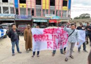 Agung Maulana Ketua umum KMPKS mendesak mulia nauli Dirut PT RAPP bertanggung jawab permasalahan limbah di sungai Kampar ratusan ikan mati.