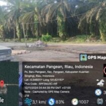 Diduga Perkebunan Kelapa Sawit TJS di Kecamatan Pangean Tidak Bayar Pajak dan Kerugian Negara Miliaran.