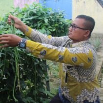 Panen Sayur Kangkung dan Kacang Panjang, Bukti Nyata Lapas Pekanbaru Terus Produktif dan Konsisten Dukung Program Ketahanan Pangan