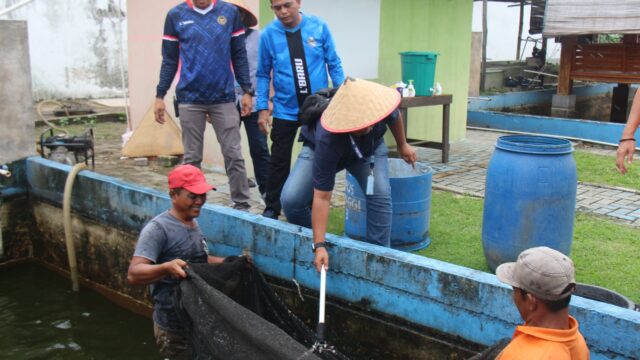 Lapas Kelas IIA Pekanbaru Panen Raya Ikan Patin 2 Ton, Hasil Budidaya Warga Binaan