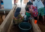 Direktur CV. Nava Bange Dr. Toga Mahaji Ritonga, APi, MM Serahkan Sertifikat Usai Pendidikan dan Pelatihan Perikanan