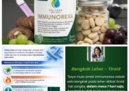 Immunorexa Produk Herbal Terbaik, Sangat Bagus Untuk Imun Tubuh, Inilah Kandungan Nya