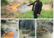 TIDAK LAYAK DAPAT RSPO, PKS PT. SSA BINA BARU DIDUGA SEMBARANGAN BUANG LIMBAH