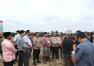 Polres Pelalawan Panen Raya Jagung, Wujudkan Swasembada Pangan