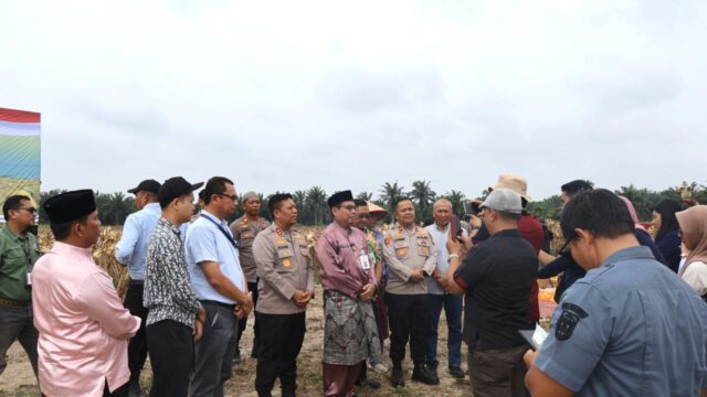 Polres Pelalawan Panen Raya Jagung, Wujudkan Swasembada Pangan