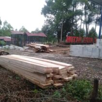 Publik Pertanyakan Legalitas Penebangan Pohon di Kawasan Wisata Hutan Kota Pasaman Barat