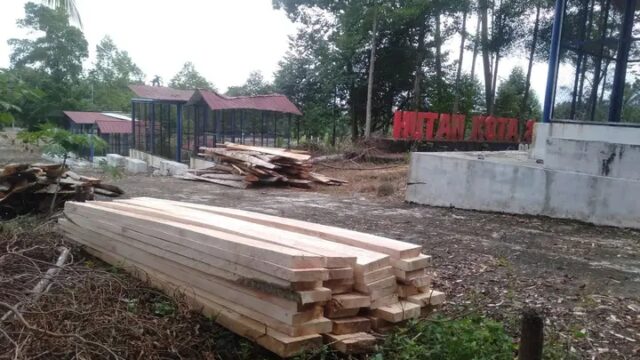Publik Pertanyakan Legalitas Penebangan Pohon di Kawasan Wisata Hutan Kota Pasaman Barat